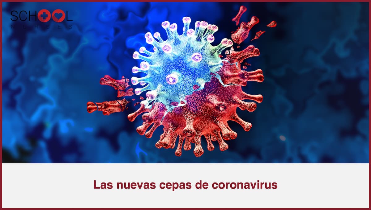 Cepas Coronavirus