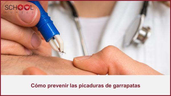 Cómo Prevenir Las Picaduras De Garrapatas - School Nurses