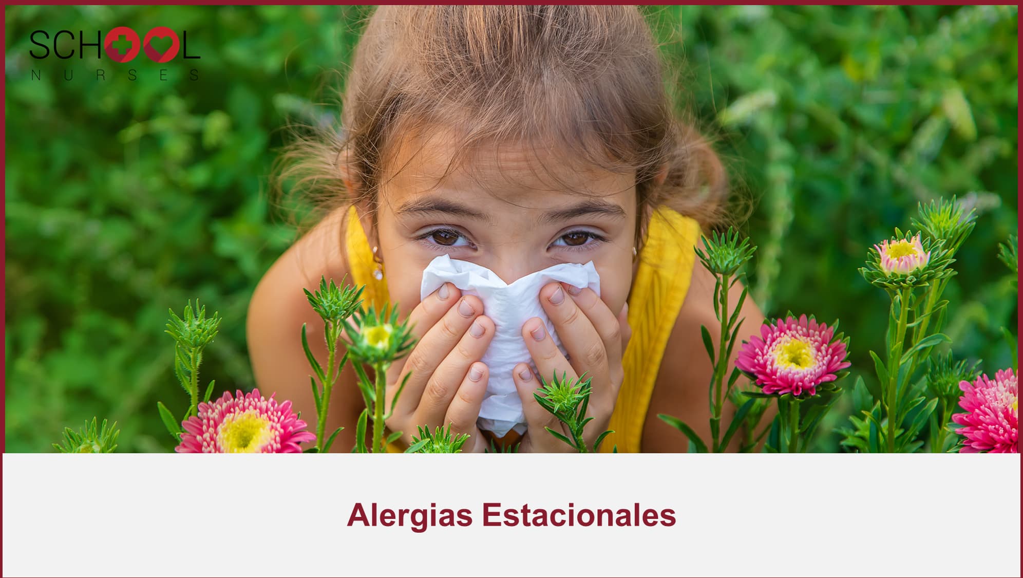 Como actuar ante alergias estacionales